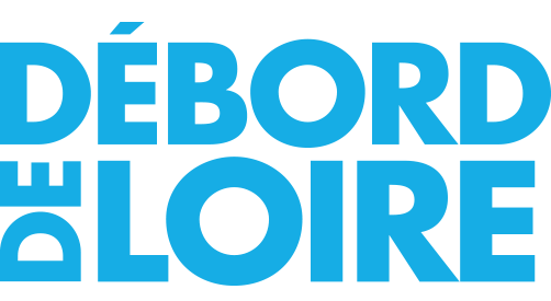 Logo Debord de Loire