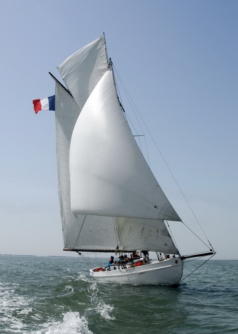 Clapotis